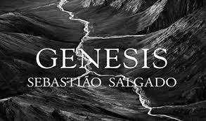 Genesis Sebastiao Salgado GENESIS SEBASTIAO SALGADO