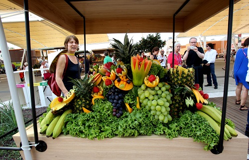 Brasile Frutta-0113718