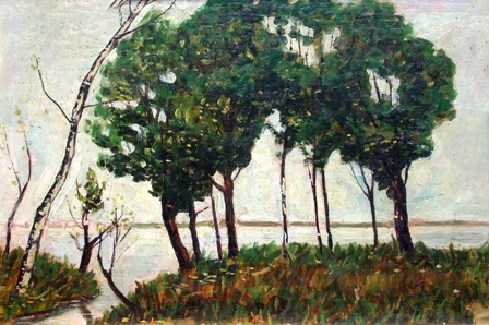 Narciso Cassino  - Sesia