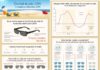 sunglasses IT-1