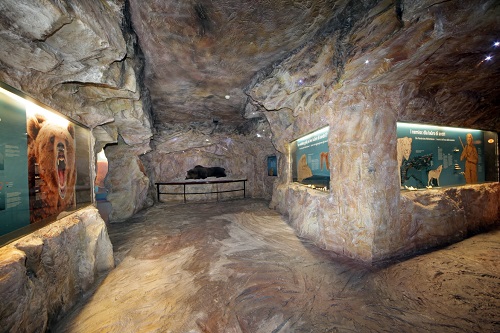 Alta Badia Museum Ladin Ursus ladinicus Freddy Planinschek