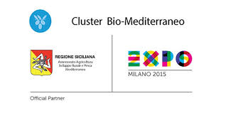 CLSUTER BIOMEDITTERANEO