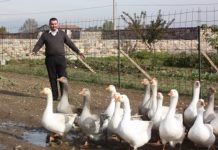 A ROVATO (BRESCIA) INTROVABILI SAPORI DI UNA VOLTA Pierluigi Toscani