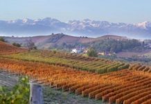 langhe