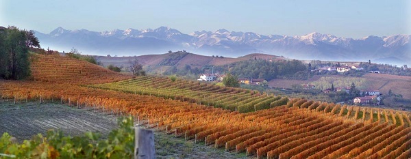 Langhe langhe