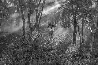 Jakob De Boer Origin Collecting Firewood Tanzania 2015 Catalogue Cover JAKOB DE BOER - Origin Collecting Firewood Tanzania 2015 - Catalogue Cover
