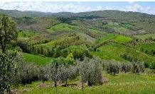 TERME DI SATURNIA E LA FATTORIA “LA MALIOSA” CELEBRANO “LE DONNE DEL VINO” Terme Saturnia