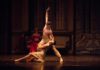 “Il Lago dei cigni” AL TEATRO DUSE DI BOLOGNA, MERCOLEDÌ 10 FEBBRAIO 2016 lago dei cigni