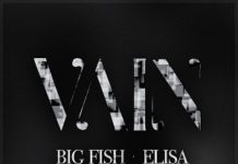 Big Fish Elisa 24