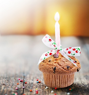 Visual Choco Muffin Party 19 02 2016 Visual Choco Muffin Party - 19-02-2016