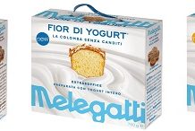Fior di Yogurt 3