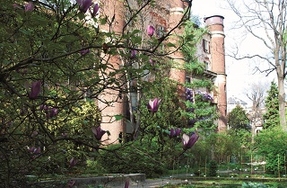 Orto Botanico Brera Archivio Grandi Giardini Italiani Orto Botanico Brera Archivio Grandi Giardini Italiani b