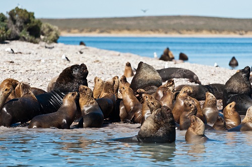 Patagonia Patagonia