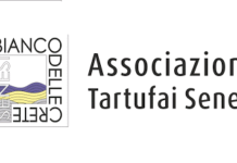 A SAN GIOVANNI D’ASSO (SI) FESTA DEL TARTUFO MARZUOLO 2016 TARTUFO BIANCO DELLE CRETE