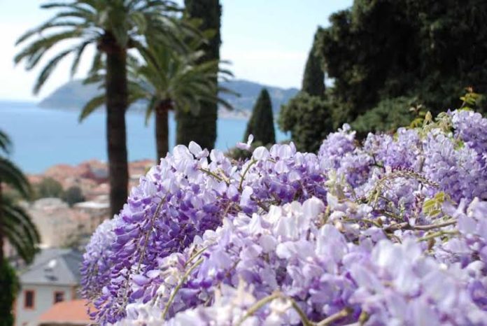 villa pergola alassio 3