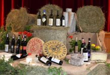 “Erbe del Casaro”: Val Brembana a tutto gusto, 28 maggio-5 giugno 2016 formaggi