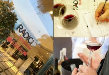 BARI. Inizia il conto alla rovescia per Radici del Sud 2016 radici del sud