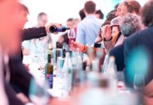 BOLZANO. Il meglio di Caldaro (20 maggio) e dal 15 al 26 maggio partono I pirati del Kalterersee strada del vino