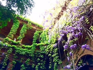 Cortili Aperti Verona - Palazzo Beccherle
