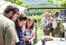 DOMENICA 29 MAGGIO 2016 TORNA CANTINE APERTE endrizzi2