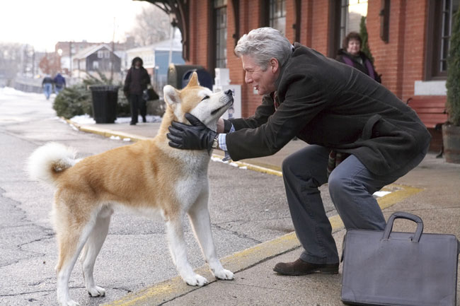 Hachiko hachiko