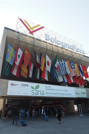 Sana ingresso 03