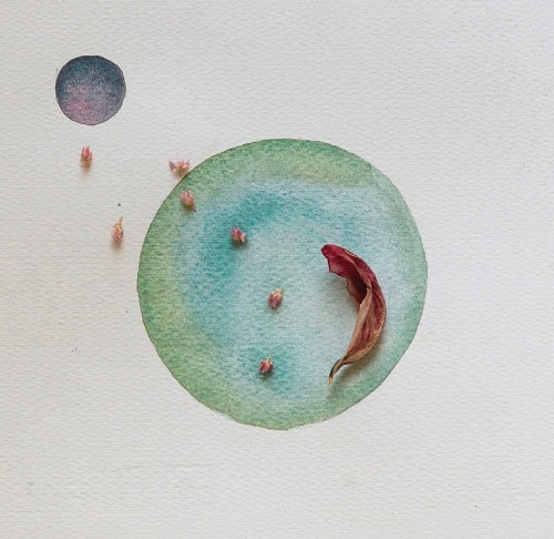 Cristina Volpi  Pianeti 2016 acquerello foglie e fiori essiccati 175x175 cm