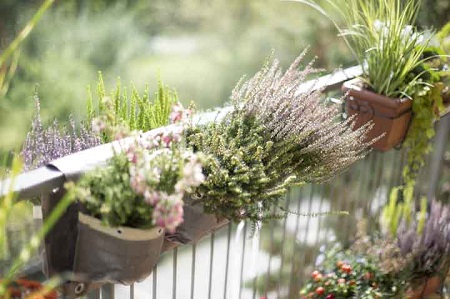 Garden festival dAutunno 8 b