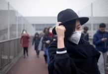 Smog e DNA: gli effetti dell’inquinamento sull’organismo smog e dna