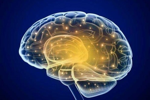 Malattie Neurologiche malattie neurologiche