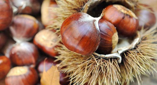 Castagne-proprieta-e-benefici