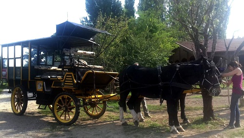carrozza mule carrozza mule