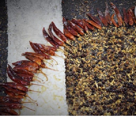 DSC 0112 elisabettaGuida