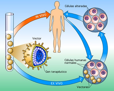 Terapia Genica terapia genica