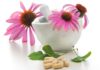 Echinacea, un alleato contro l’influenza echinacea