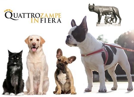 Quattrozampe In Fiera A Roma quattrozampe in fiera a Roma
