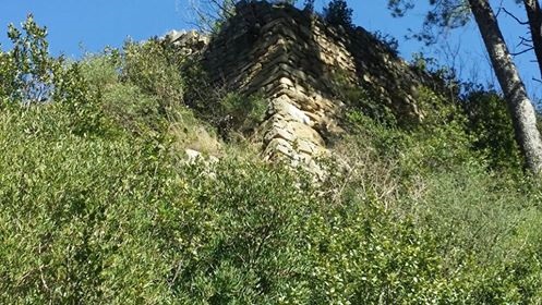 CAMPO MARZIO DI TAGGIA particolare FOTO CAMPO MARZIO5