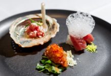 UNA STELLA MICHELIN AL RISTORANTE MONTE DI ROVIGNO croazia3