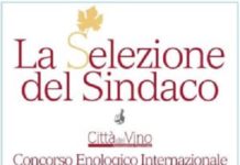 TRAMONTI (SA). LA SELEZIONE DEL SINDACO 2017 LA SELEZIONE DEL SINDACO