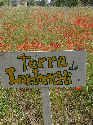 ARADEO KARADRA LA TERRA DEI LOMBRICHI