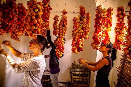 POMO DORO il pomodoro di ARADEO POMO DORO il pomodoro di ARADEO