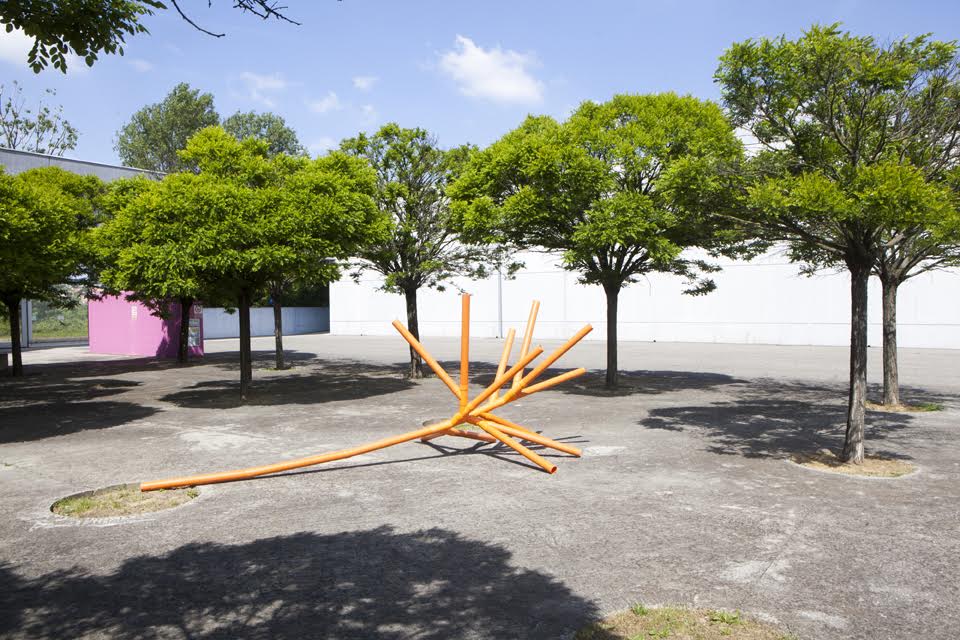 innesto Hydraulic wood