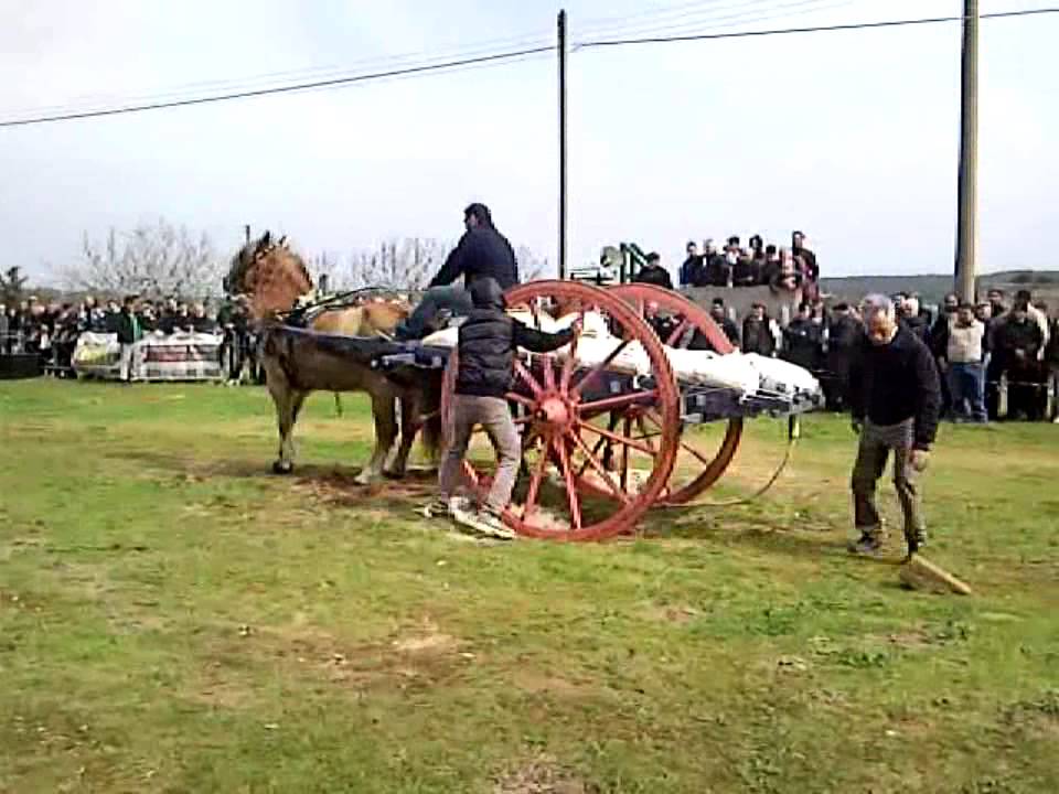 Aradeo Tiro dei cavalli