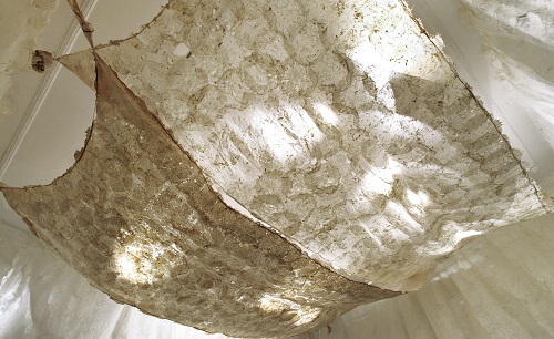 Nobushige Akiyama Installazione 2012