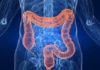 GASTROENTOLOGIA