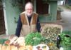 RASPELLI Liguria Sommariva 2