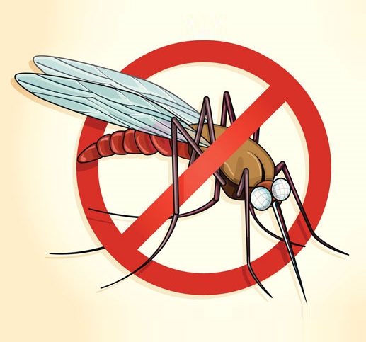 Malaria malaria
