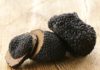 tartufo nero