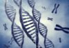 Geni malattie genetiche gravidanza