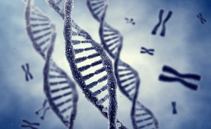 Geni malattie genetiche gravidanza